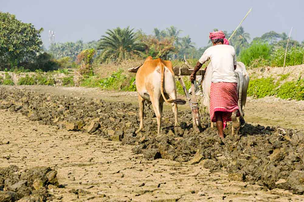 अल्पकालीन कृषि ऋण का दिया जा रहा लाभ, छत्तीसगढ़-किसानों को मिले 6199 करोड़ रूपए