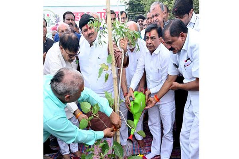 पौध-रोपण कर पेड़ बनने तक उनका संरक्षण करें -उप मुख्यमंत्री श्री देवड़ा