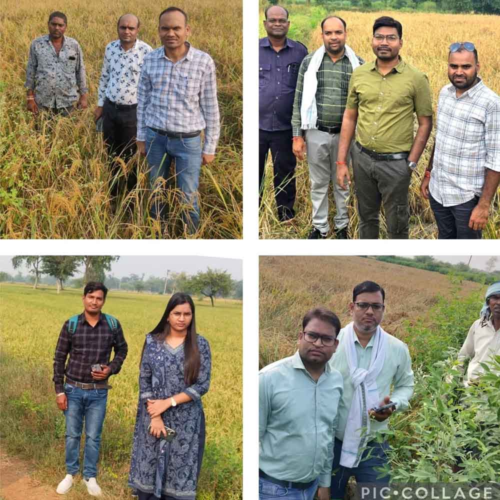 फसल गिरदावरी में लापरवाही पर गिरी गाज, छत्तीसगढ़-बेमेतरा के एसडीएम ने पटवारी को किया निलंबित