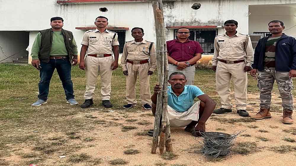 करंट से हुई थी जंगली हाथी की मौत, छत्तीसगढ़-बलरामपुर में आरोपी गिरफ्तार