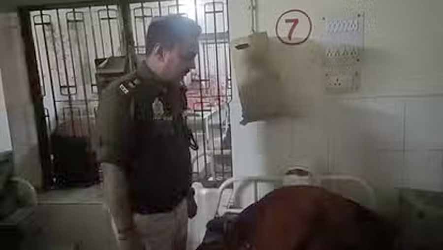 बिजनौर में लवी पाल पुलिस से मुठभेड़ में घायल, पैर में लगी गोली