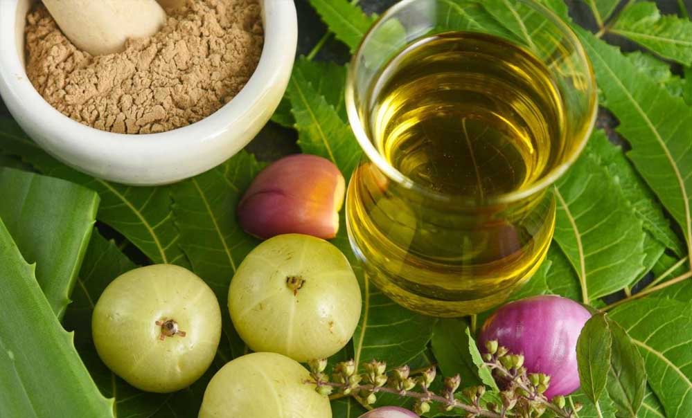 बाल झड़ना होगा बंद! इन चीज़ों से करें हेयर ग्रोथ को बूस्ट — जानें क्या खाएं