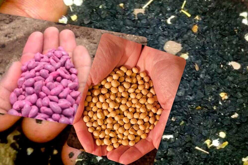 सरगुजा में किसान खुश, 1 रुपए में सीड्स नर्सरी तैयार करने की सुविधा शुरू