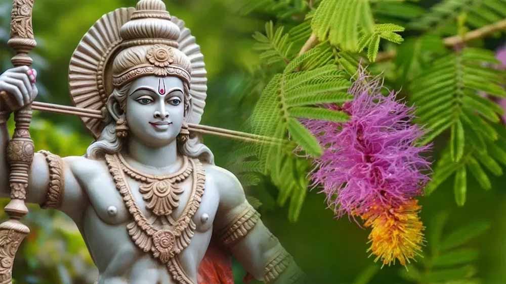 विजय और समृद्धि की चाबी: दशहरे पर शमी के महत्व की कहानी