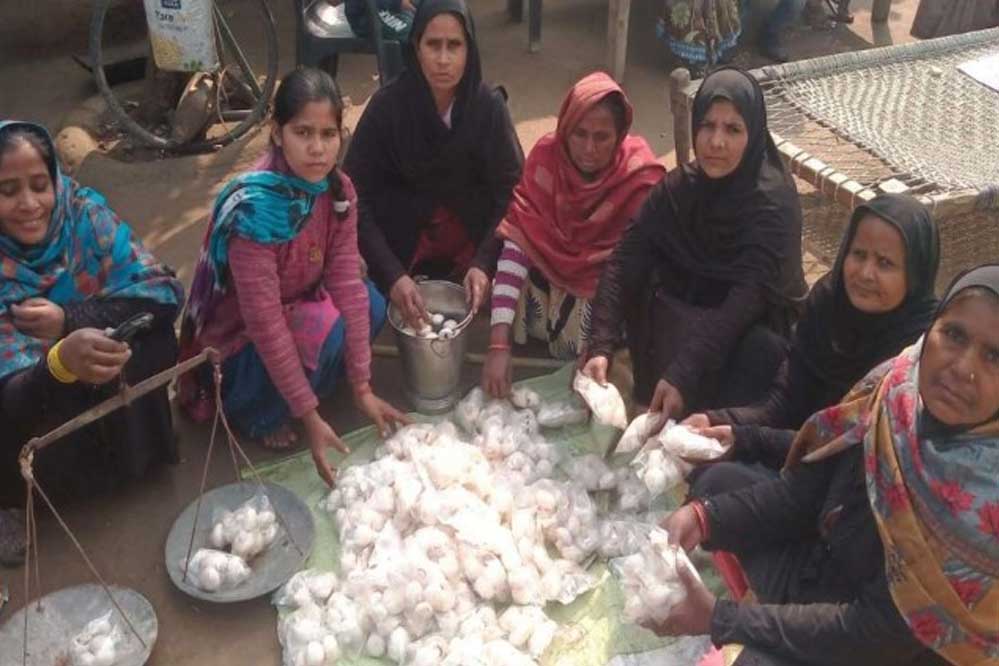 मशरूम के उत्पादन को बड़े बाजारों तक पहुँचाने और अधिक से अधिक महिलाओं को स्वरोजगार से जोड़ने का है लक्ष्य