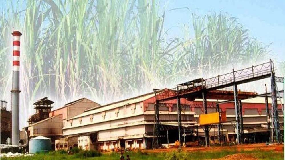 कवर्धा के गन्ना किसानों को सरकार का तोहफ़ा, रायपुर में हुआ ऐतिहासिक निर्णय