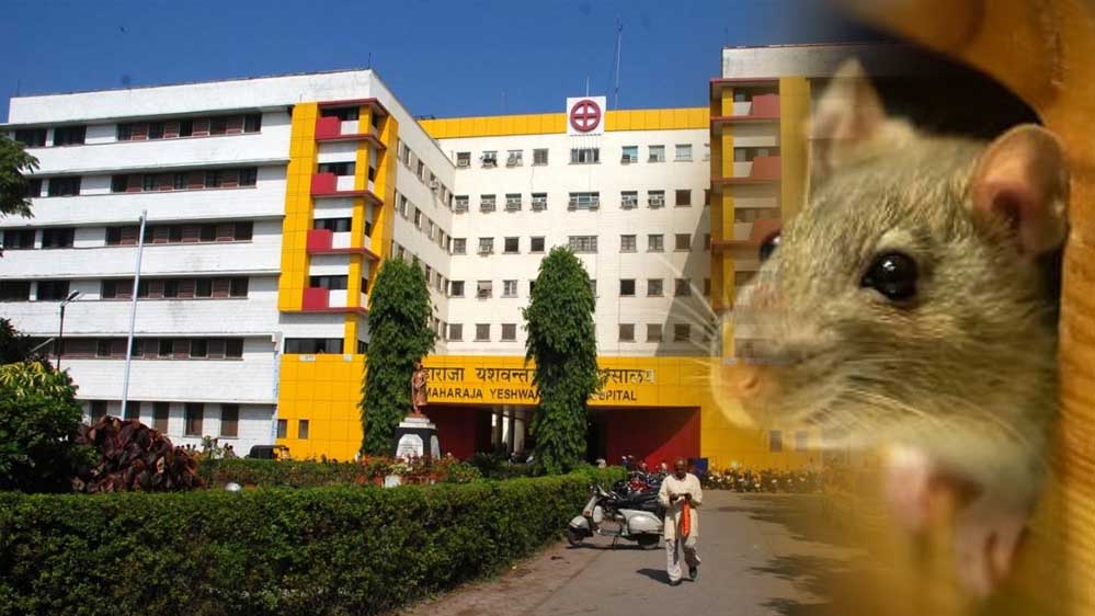 नवजात की मौत पर NHRC सख्त, MP स्वास्थ्य विभाग और इंदौर DM को दिया नोटिस