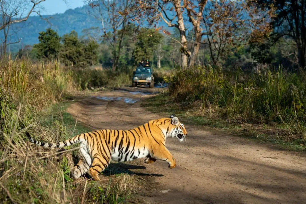 मध्य प्रदेश के वन्य क्षेत्र अब प्लास्टिक मुक्त, सिंगल यूज प्लास्टिक पर लगेगा 5000 रुपये तक का जुर्माना