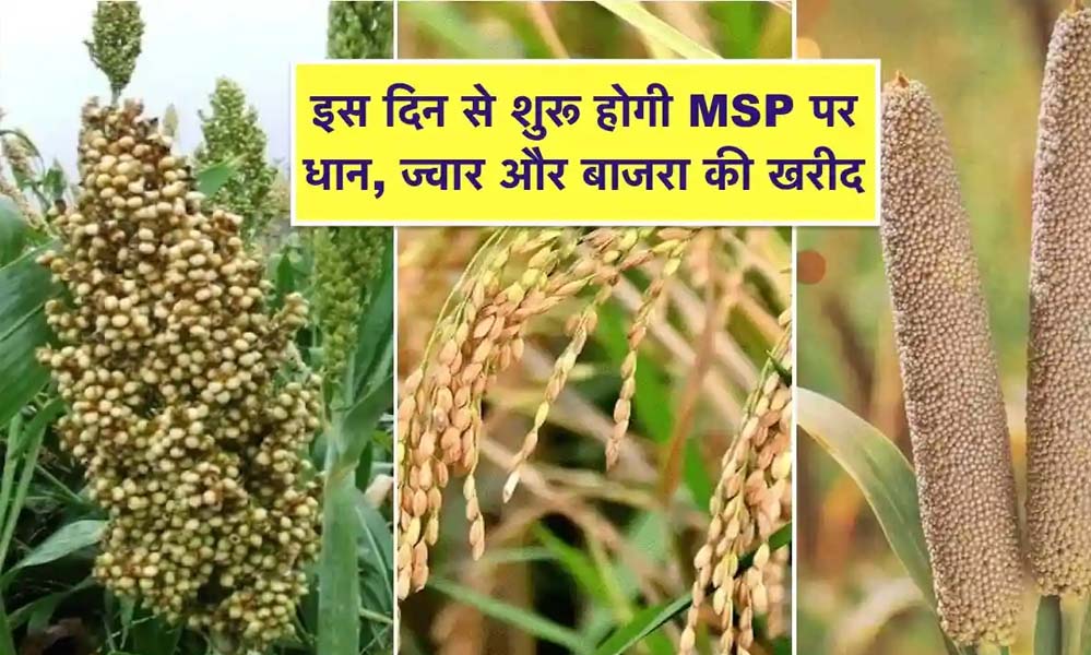 समर्थन मूल्य योजना के तहत धान, ज्वार और बाजरा के पंजीयन की अंतिम तिथि 10 अक्टूबर