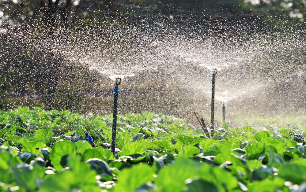 रायपुर: सिंचाई परियोजनाओं के काम के लिए 7.36 करोड़ रूपए स्वीकृत