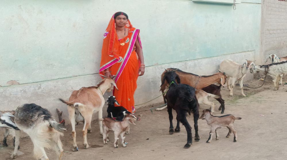 महतारी वंदन योजना से empowered हुई श्यामा, बनी अपने परिवार की सहारा