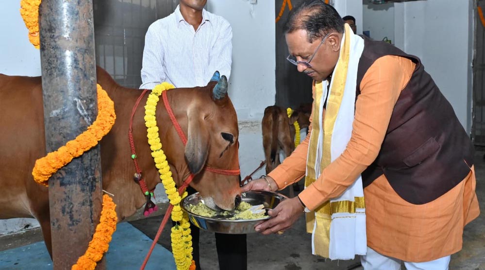 मुख्यमंत्री ने गोवर्धन पूजा पर किया गौपूजन, बोले—गौमाता के आशीर्वाद से प्रदेश होगा समृद्ध