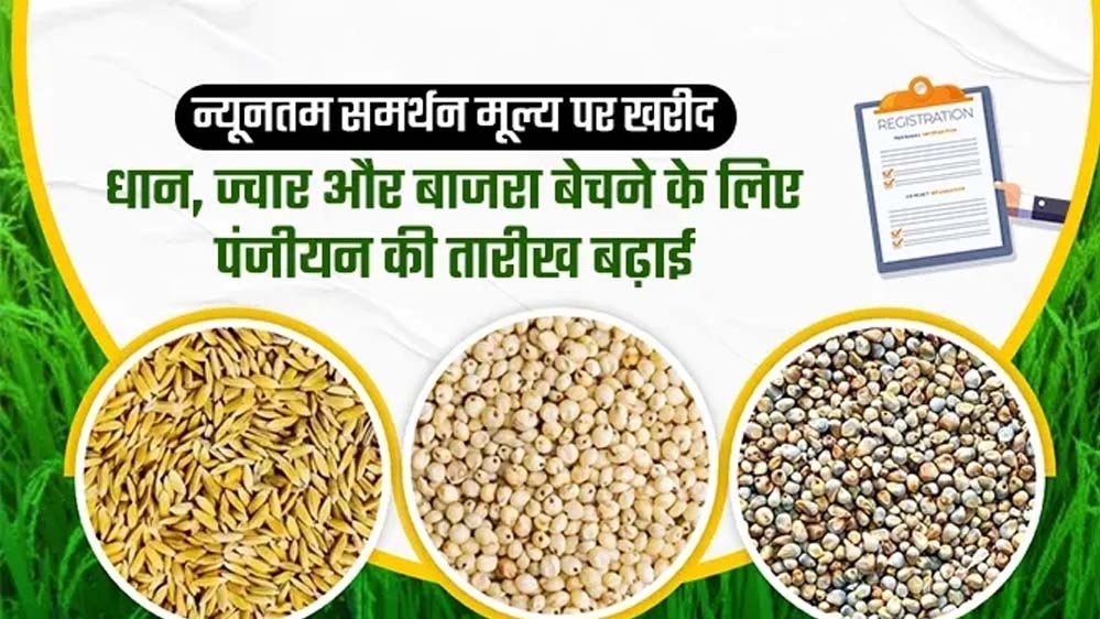 किसानों की बड़ी भागीदारी: धान, ज्वार और बाजरा के लिए 8,53,911 किसानों ने कराई पंजीकरण
