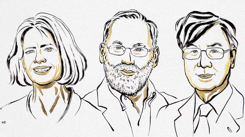 मेडिसिन का नोबेल 2025 तीन वैज्ञानिकों को, ब्रंकॉ, रैम्सडेल और साकागुची को मिली वैश्विक पहचान