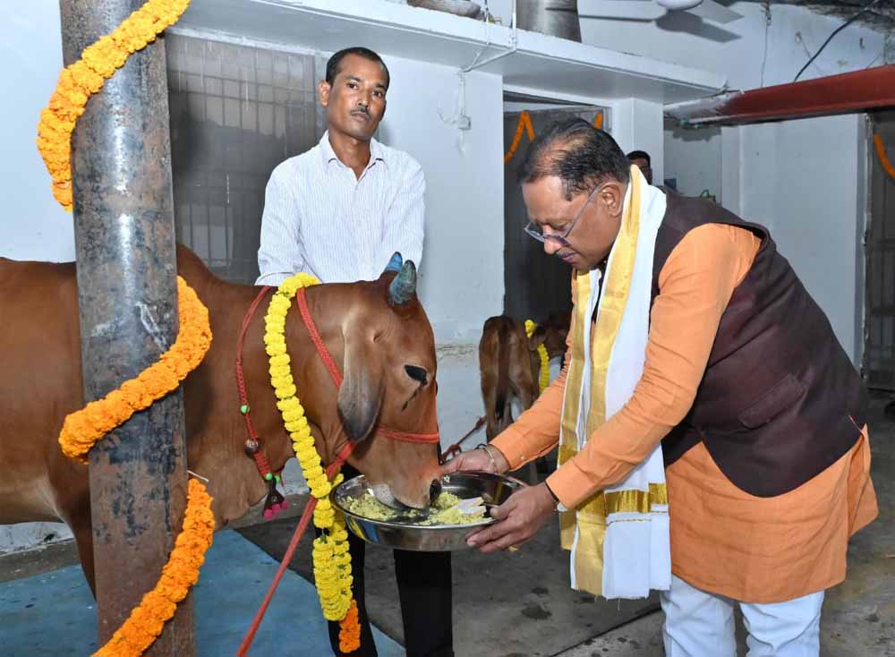 मुख्यमंत्री ने किया गोवर्धन पूजा व गौपूजन, कहा— ‘गौमाता हमारी संस्कृति की आत्मा हैं’