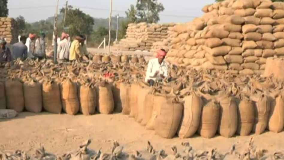 धान की सरकारी बिक्री के लिए 25 अक्टूबर तक 1,54,035 किसानों ने करा लिया पंजीकरण