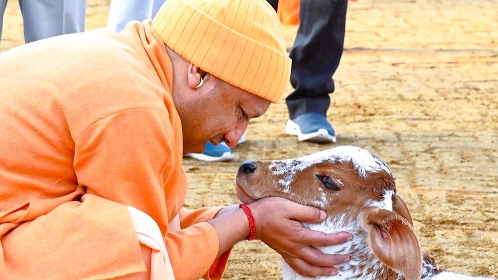 विशेष आर्टिकल- कृषि और डेयरी में बदलाव: नंद बाबा दुग्ध मिशन से यूपी के किसानों की आय और ग्रामीण विकास में उन्नति
