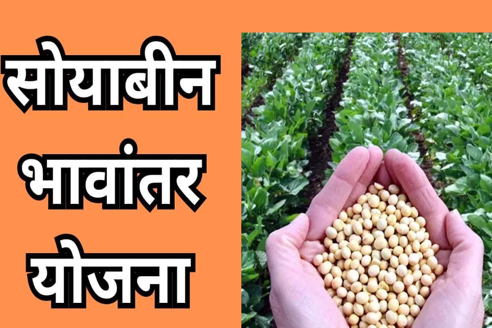 आज से लागू हुआ भावांतर योजना का बढ़ा हुआ मॉडल रेट, 4,130 रुपए तय