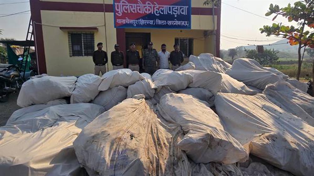 ड्रग माफिया पर करारा प्रहार: खरगोन पुलिस ने पहाड़ों में मिली अवैध गांजा खेती का किया खुलासा