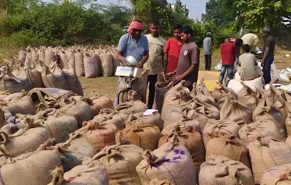 धान खरीदी में लापरवाही: 250 राशन दुकाने रद्द, 12 कर्मचारियों के खिलाफ एफआईआर