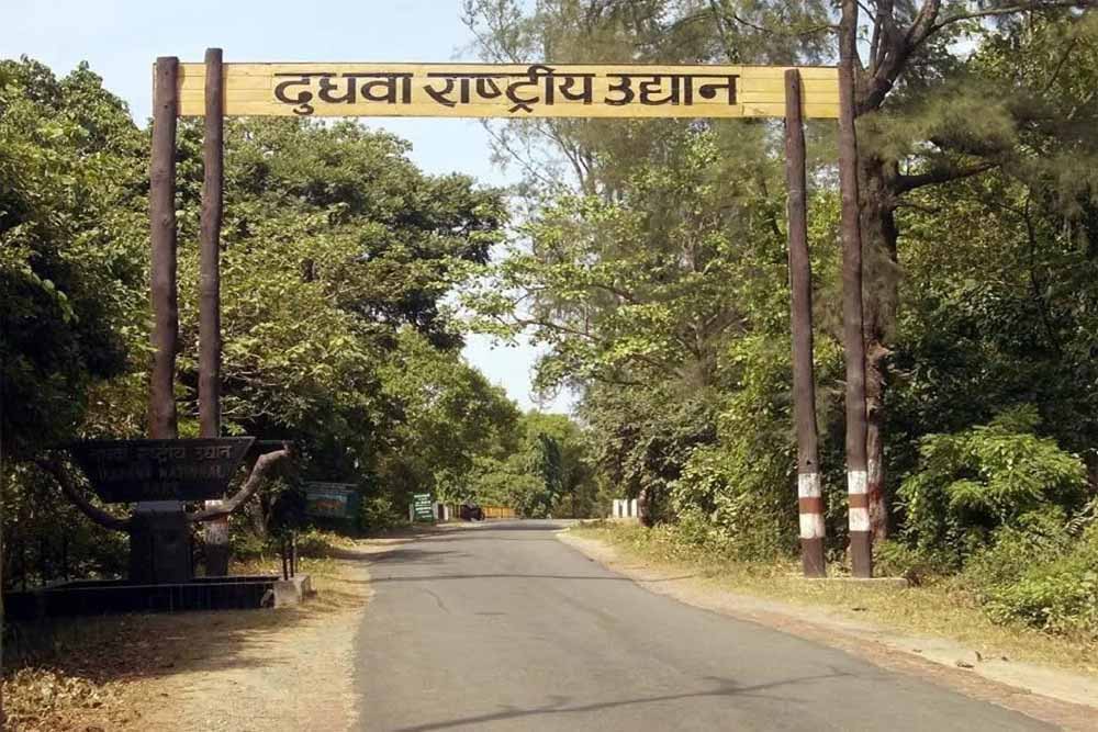 लखनऊ से लखीमपुर के बीच शुरू की गई एसी बस सेवा को पूरे इको पर्यटन सत्र तक जारी रखने का प्रस्ताव