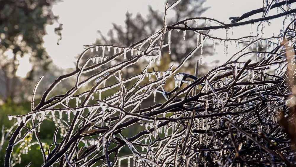 फतेहपुर में तापमान जीरो के पास, ठिठुरन बढ़ी और खेतों में दिखी पाले की चादर