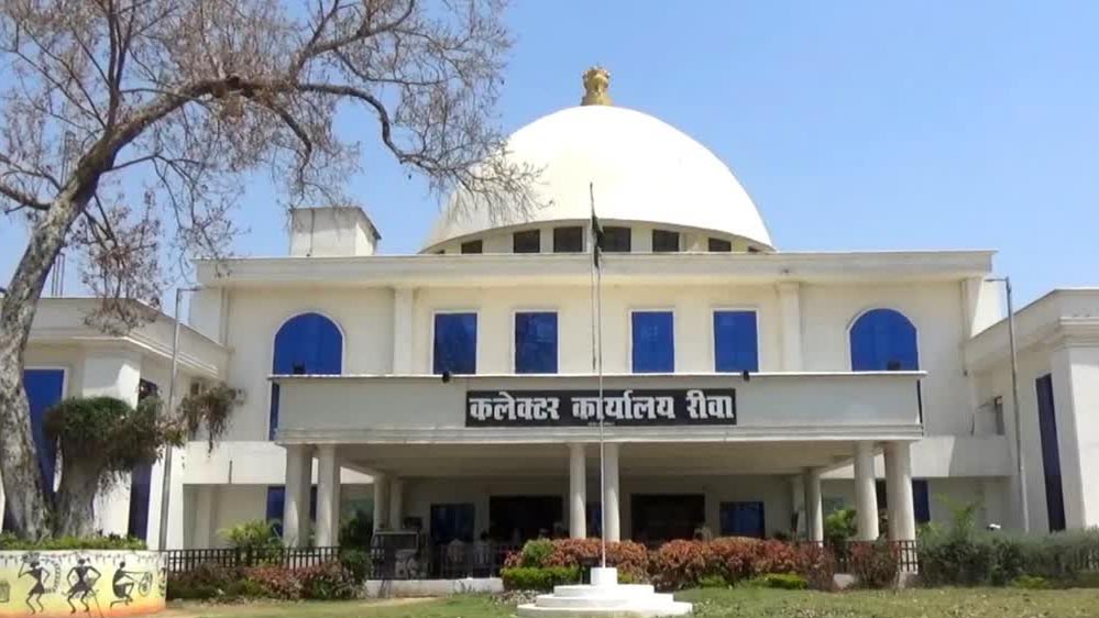 रीवा में सरकारी कर्मचारियों के लिए मज़ेदार इनाम, फ्री मूवी, डिनर और टाइगर सफारी टिकट