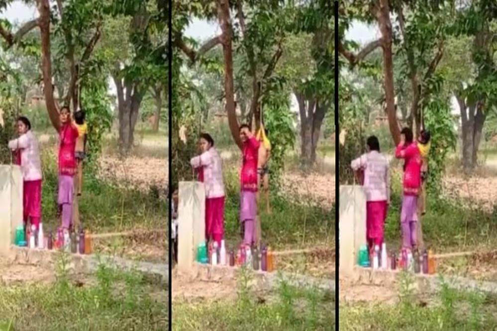 सूरजपुर स्कूल में बच्चों की सुरक्षा पर सवाल, मासूम को टी-शर्ट से पेड़ पर लटकाने का वीडियो वायरल