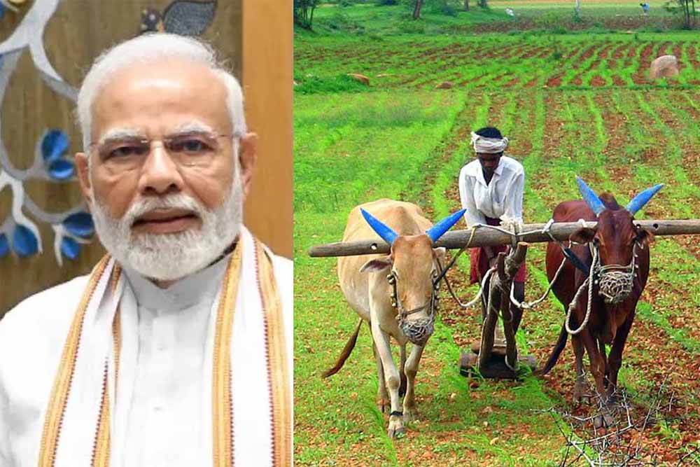 PM Kisan Yojana Update: इन राज्यों के किसानों को नहीं मिलेगा 2,000 रुपये का लाभ, जानें वजह