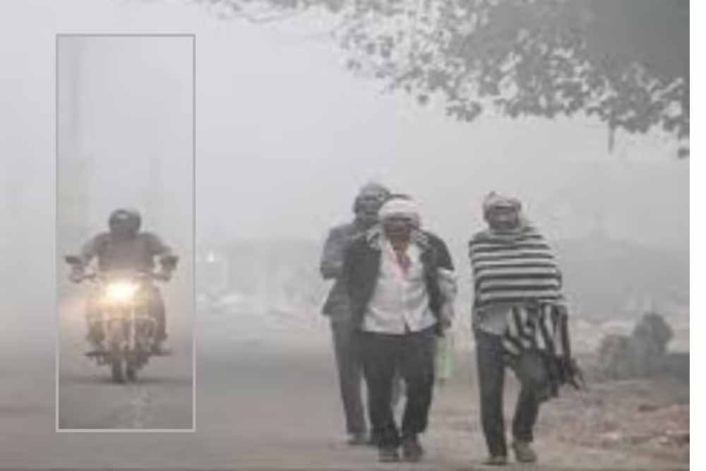 मध्य प्रदेश में ठंड की मार कम होगी, लेकिन चुनिंदा जिलों में जारी रहेगा शीतलहर का असर