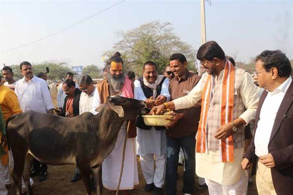 प्रदेश में अधिक से अधिक बनें स्वावलंबी गो-शालाएँ : राज्यमंत्री पटेल