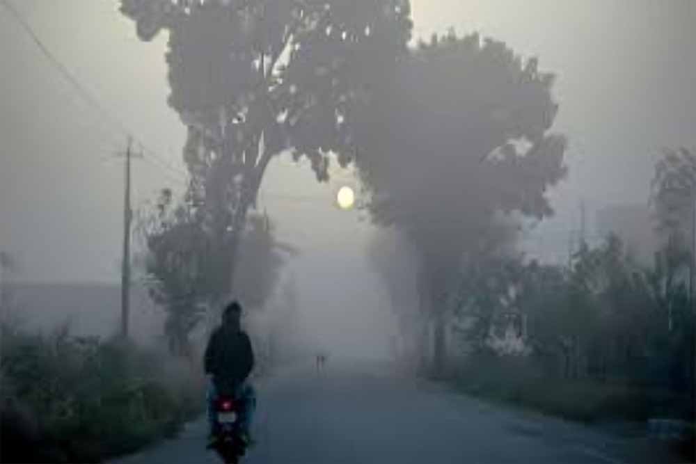 सर्द हवाओं के साथ राजस्थान में छाई धुंध, फतेहपुर सबसे ठिठुरता शहर