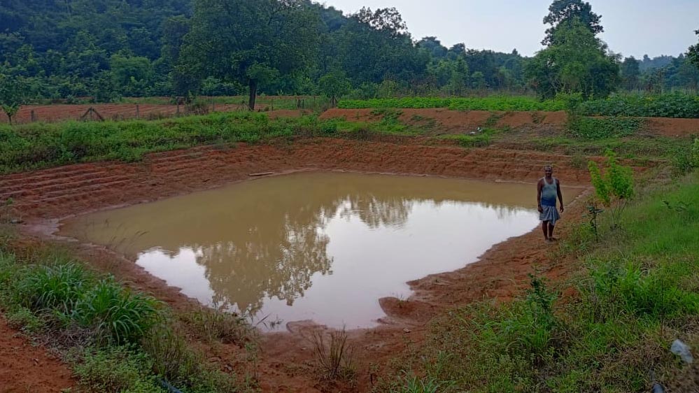 रायपुर : आत्मनिर्भरता, खुशहाली और ग्रामीण प्रेरणा की अद्भुत मिसाल