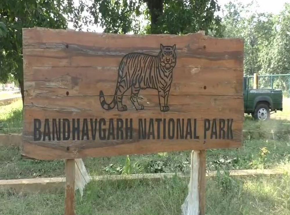 बांधवगढ़ टाइगर रिजर्व का आकर्षण: केवल 7 दिन फ्री एंट्री, जानें पूरी जानकारी