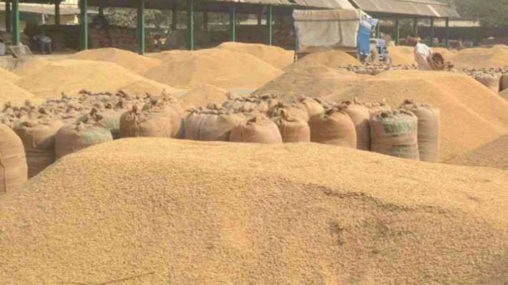 4743 क्रय केंद्रों के माध्यम से खरीद, डीबीटी से सीधे किसानों के खातों में भुगतान