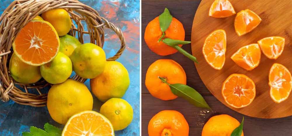 ठंड में सेहत की ढाल क्या है—संतरा या किन्नू? ऐसे करें सही तरीके से सेवन
