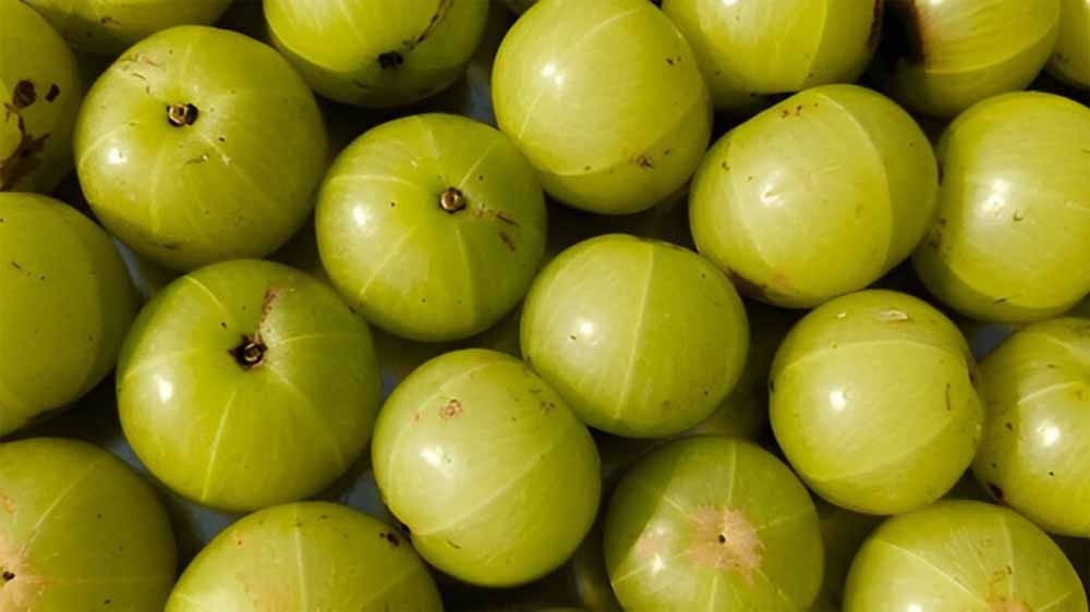 जानिए कैसे आंवला रखता है आपका शरीर स्वस्थ और तंदरुस्त