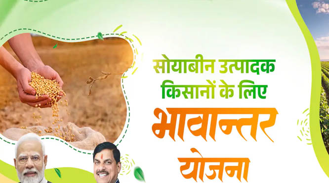 सोयाबीन का नया रेट: भावांतर योजना में 4345 रुपए प्रति क्विंटल की दर तय, किसानों को राहत