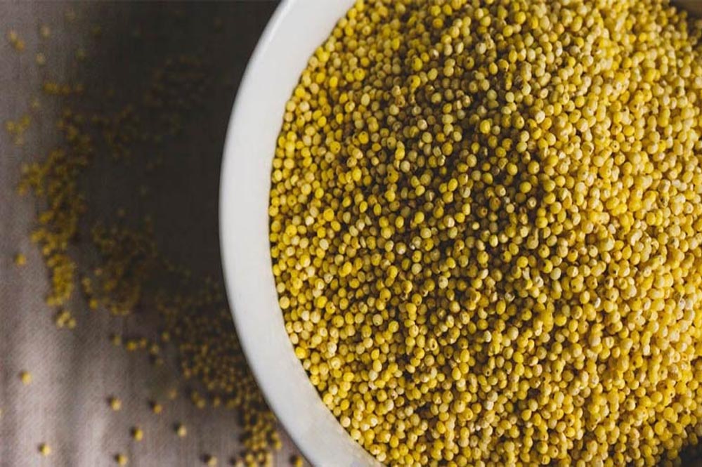 इंदौर में जैविक खेती और स्वाद का मेला, 12 से 14 दिसंबर तक होगा भव्य महोत्सव