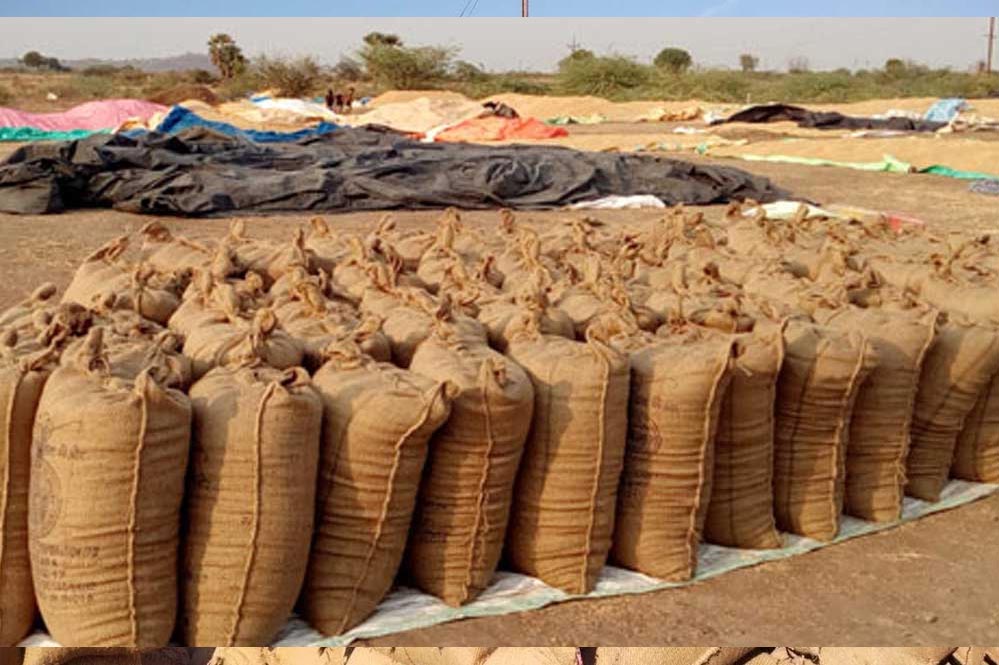 समर्थन मूल्य पर धान खरीदी से छत्तीसगढ़ के किसान हुए आर्थिक रूप से सशक्त