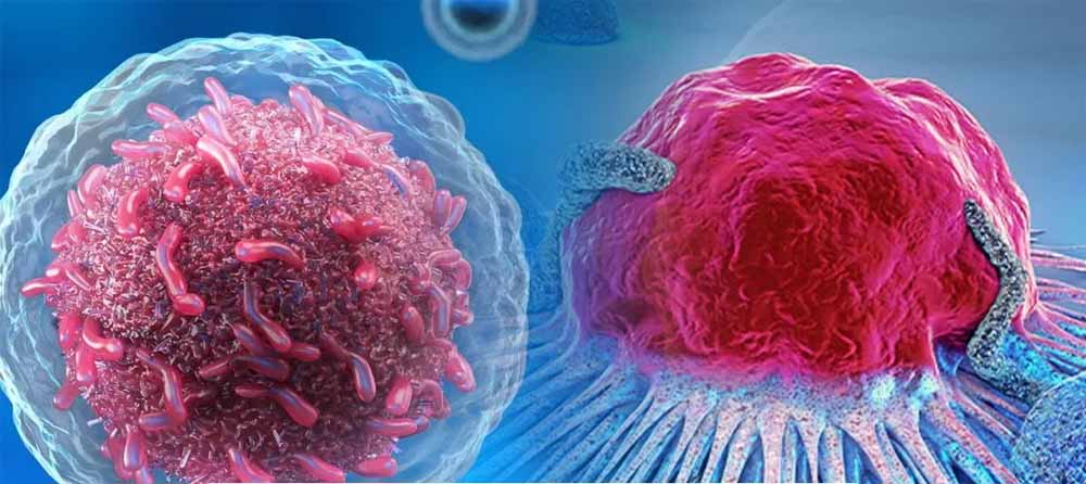 डराने वाले आंकड़े: भारत में 15 लाख कैंसर मरीज, यूपी में बिहार से दोगुना बोझ, दिल्ली की हवा सबसे घातक