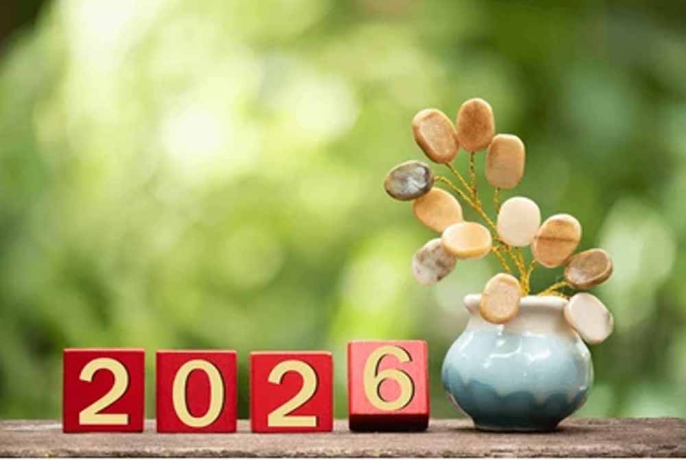 नए वर्ष की शुभ शुरुआत: ये छोटे कदम दिलाएंगे बड़ी सफलता और समृद्धि