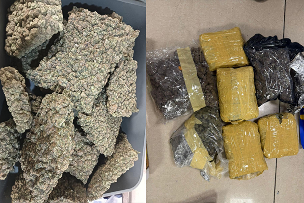 अंतरराष्ट्रीय ड्रग रैकेट को झटका, मुंबई एयरपोर्ट पर कस्टम्स ने पकड़ी 33.42 किलो हाइड्रोपोनिक वीड