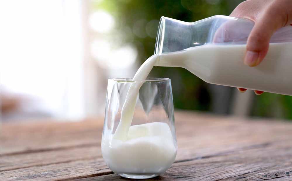 दुग्ध समृद्धि को नई गति: 17 दिसंबर से अभियान के दूसरे चरण की शुरुआत