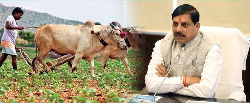 तकनीक का इस्तेमाल कर बेहतर उपज लेने के लिए ग्राम स्तर पर सघन गतिविधियां संचालित की जाएं: मुख्यमंत्री