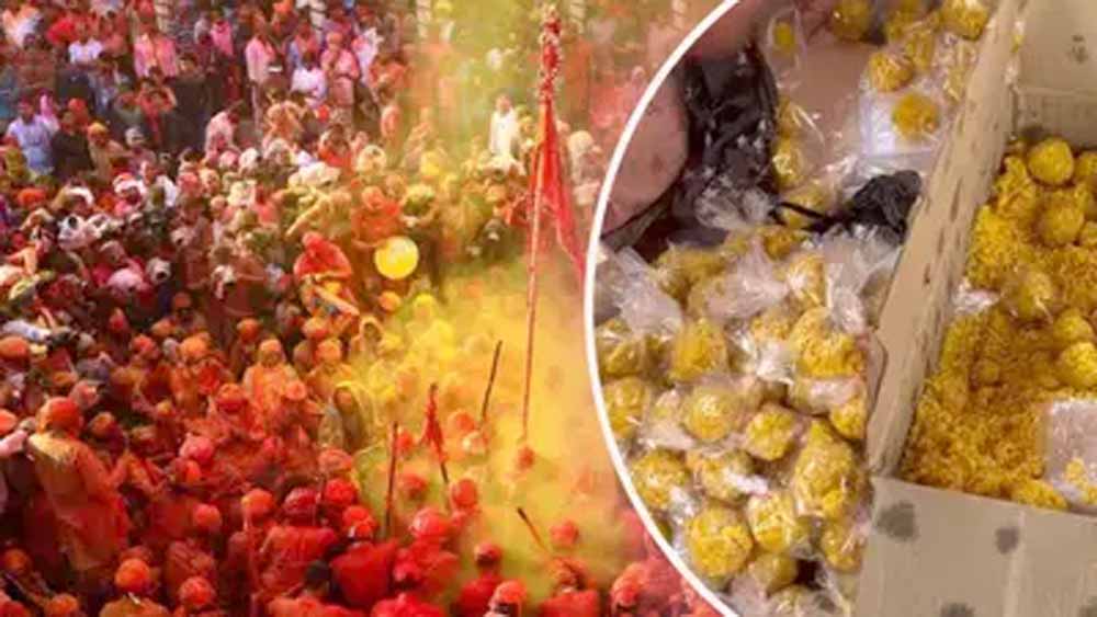 24–25 फरवरी को बरसाना में परंपरागत होली का उत्सव, लड्डू और लठामार होली की धूम