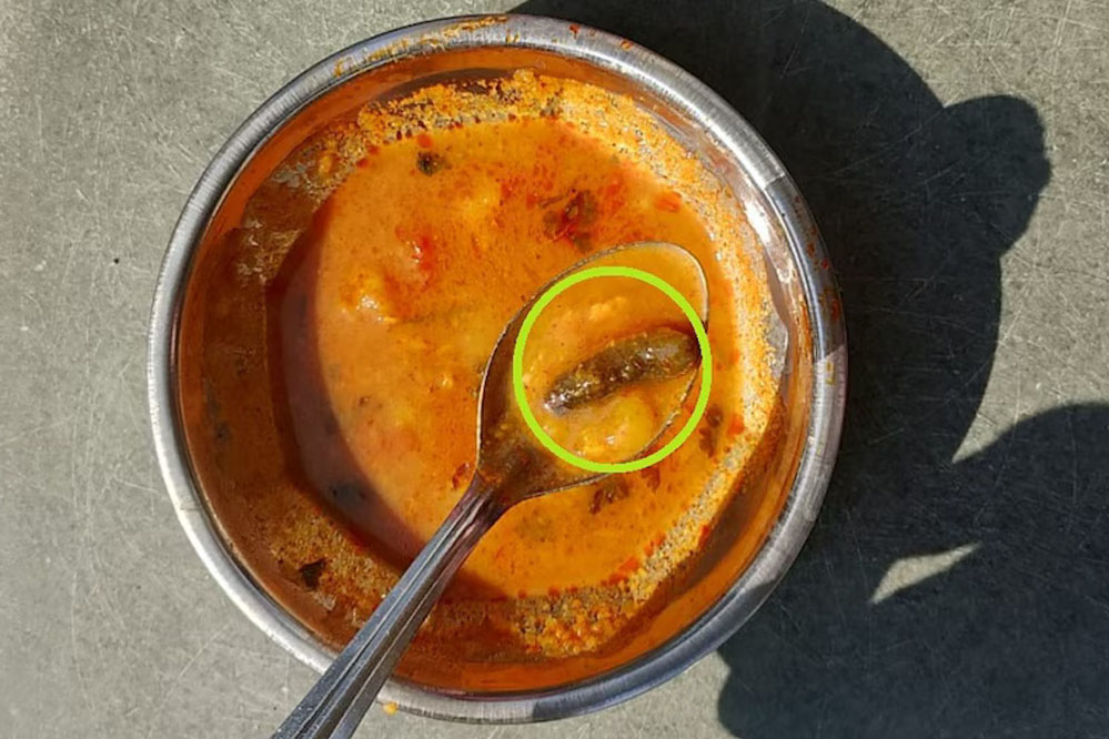 खंडवा: 3 इंच की इल्लियों वाले खाने पर हुआ विरोध, वार्डन का पलटवार- तुम्हारी प्राइवेट बातें बताऊंगी