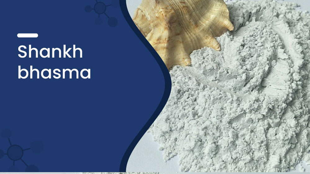 शंख भस्म: हड्डियों और जोड़ों को मजबूती देने वाला कैल्शियम से भरपूर प्राकृतिक उपाय