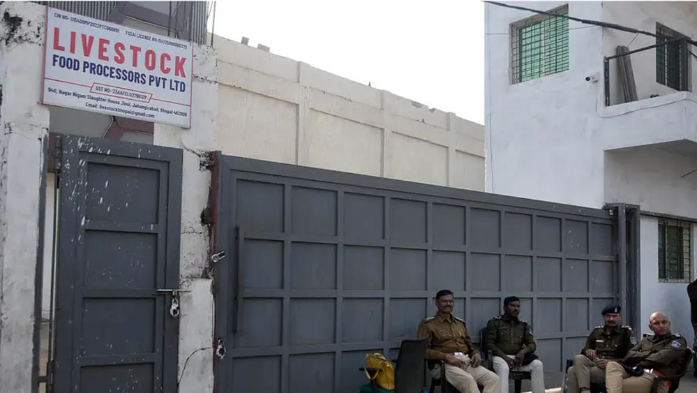 असलम चमड़ा का साम्राज्य: अफसरों की सहमति और सिस्टम के संरक्षण में फलता-फूलता व्यापार