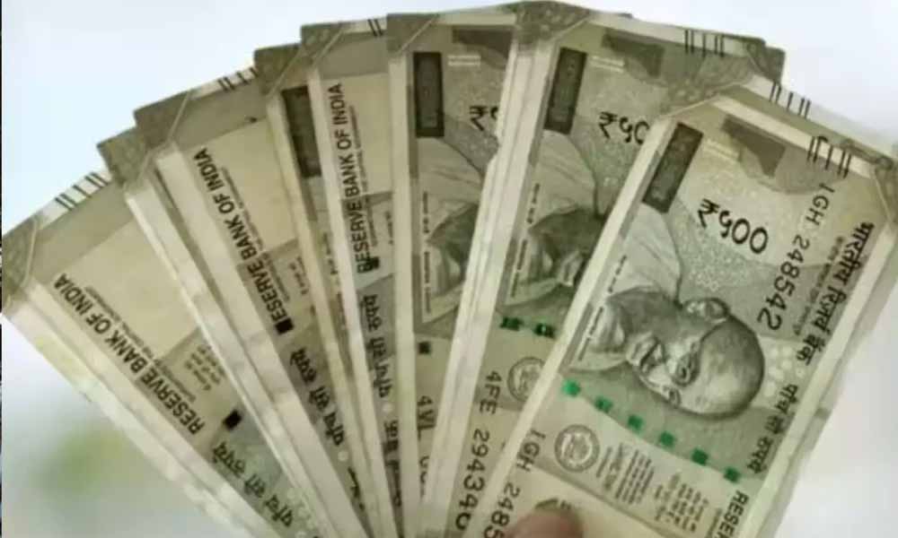 मनपसंद काम, मजबूत कमाई: हॉबी को बनाएं करियर